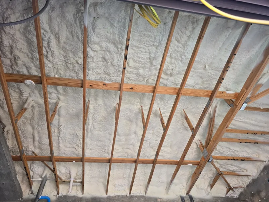 Ceiling 4