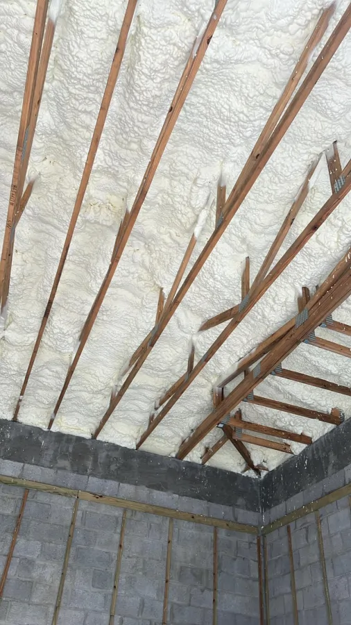 Ceiling 9